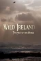 Poster for Wild Ireland: The Edge of the World