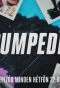 Poster for Pumpedék