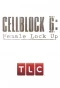 Poster for Cellblock 6: Female Lock Up