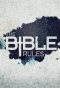 Poster for The Bible Rules