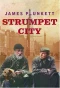 Poster for Strumpet City