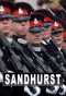 Poster for Sandhurst