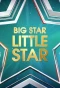 Poster for Big Star Little Star