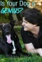 Poster for Is Your Dog a Genius?