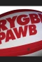 Poster for Rygbi Pawb