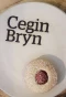 Poster for Cegin Bryn