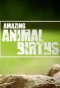Poster for Amazing Animal Births