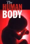 Poster for The Human Body