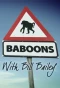 Poster for Baboons with Bill Bailey