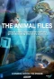 Poster for The Animal Files