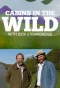Poster for Cabins in the Wild with Dick Strawbridge
