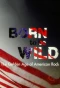 Poster for Born to Be Wild: The Golden Age of American Rock