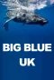 Poster for Big Blue UK