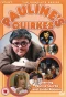 Poster for Pauline's Quirkes