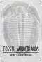 Poster for Fossil Wonderlands: Nature's Hidden Treasures