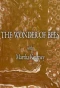 Poster for The Wonder of Bees with Martha Kearney