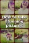 Poster for How to Take Stunning Pictures