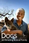 Poster for Dogs: An Amazing Animal Family