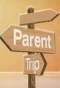 Poster for The Parent Trip