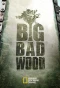 Poster for Big Bad Wood