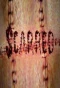 Poster for Scarred