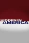 Poster for Hidden in America