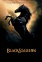 Poster for The Adventures of the Black Stallion