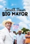 Poster for Small Town, Big Mayor