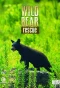Poster for Wild Bear Rescue