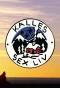 Poster for Kalles sex liv