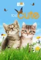 Poster for Too Cute!