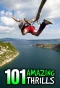 Poster for 101 Amazing Thrills