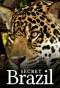 Poster for Secret Brazil