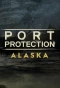 Poster for Port Protection Alaska