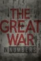 Poster for The Great War in Numbers