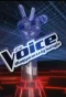 Poster for The Voice – Magyarország hangja