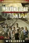 Poster for The Walking Dead: Torn Apart