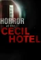 Poster for Horror at the Cecil Hotel