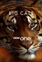 Poster for Big Cats
