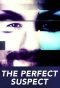 Poster for The Perfect Suspect