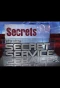 Poster for Secret Service Secrets