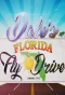 Poster for Dale Winton's Florida Fly Drive