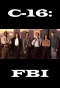 Poster for C-16: FBI