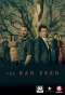 Poster for The Bad Seed