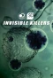 Poster for Invisible Killers