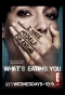 Poster for What's Eating You