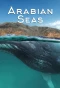 Poster for Arabian Seas