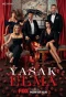 Poster for Yasak Elma