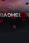 Poster for The Bachelor