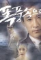 Poster for Into the Storm